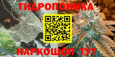 МДПВ Коммунар